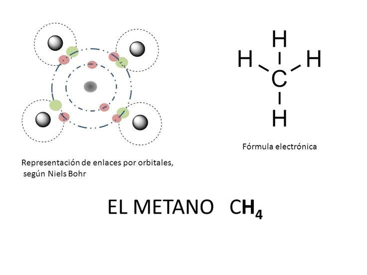 Q U I M I C A I N T R O D U C C I O N Biologia Amino