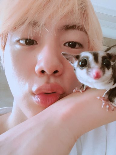 JIMIN TWEET FT JIN 07072018 | Seokjin Amino