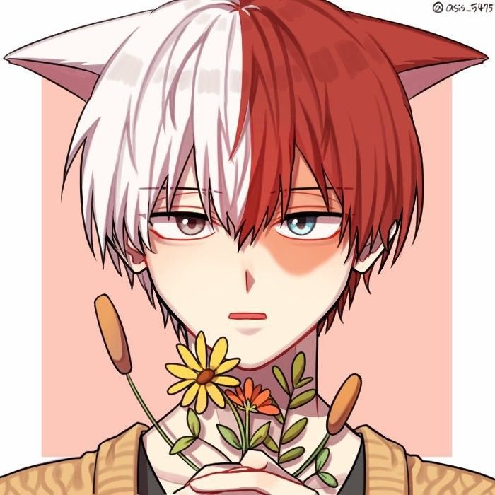 todoroki hello kitty