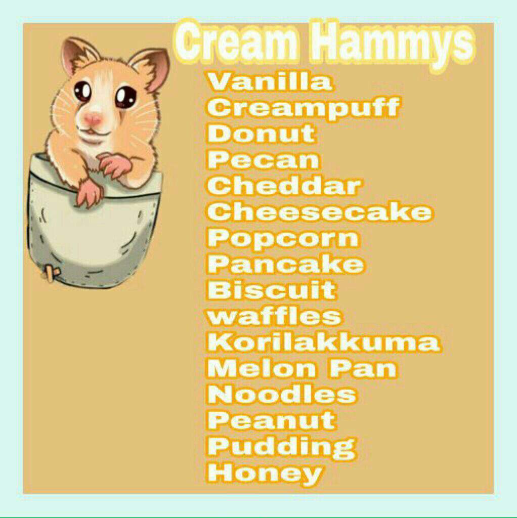 Adorable Hamster Names!🐹🐹🐹 Hamsters! Amino