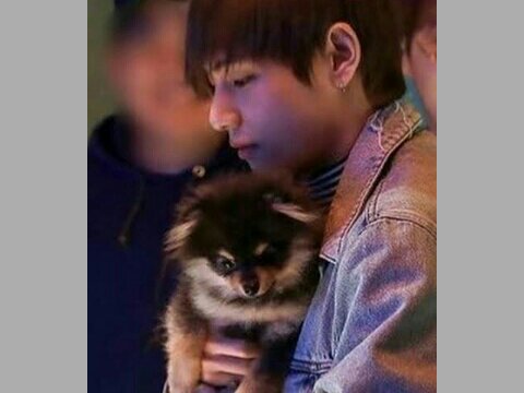 Yeontan Blog Mengulas Tentang Yeontan Bts Army Indonesia Amino