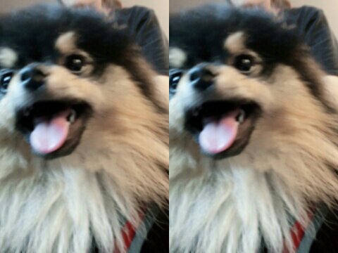 Yeontan Blog Mengulas Tentang Yeontan Bts Army Indonesia Amino