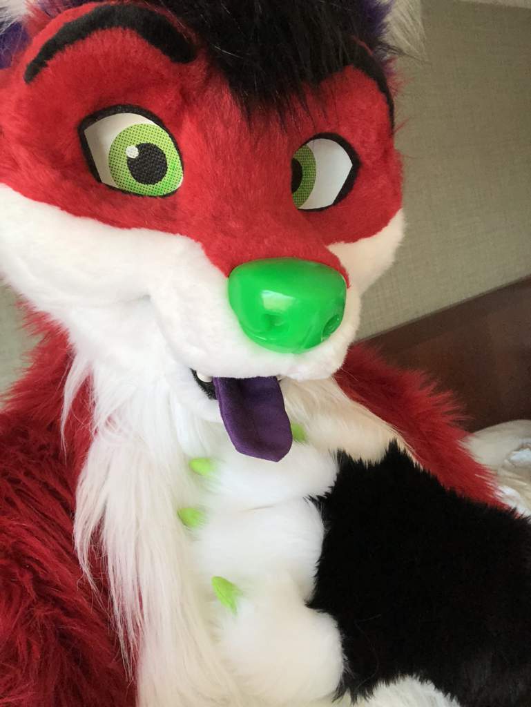 Majira Strawberry New Fursuit Furry Amino