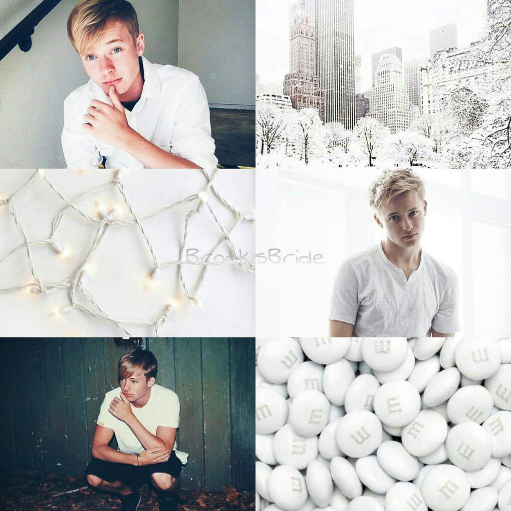 Sam Golbach Aesthetics Sam And Colby Amino