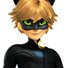 amino-Cat Noir/Adrien-a8b9b7ae