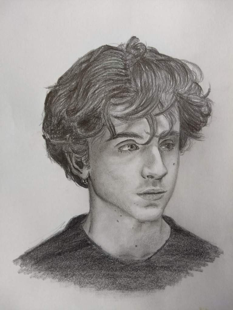 Timothée Chalamet #MiPropioArte | DibujArte Amino