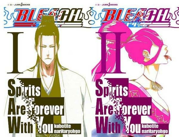 Do You Hope The Bleach Light Novels Get Released In English Bleach Amino