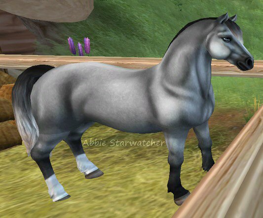 Welsh Pony | Wiki | Star Stable Online Amino