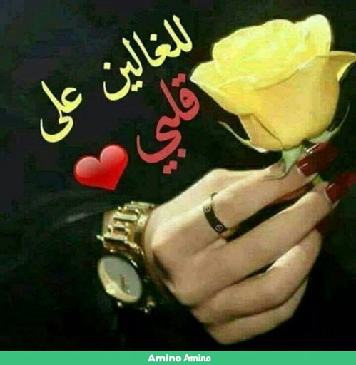 صباح الخير | حيدر ومريم Amino