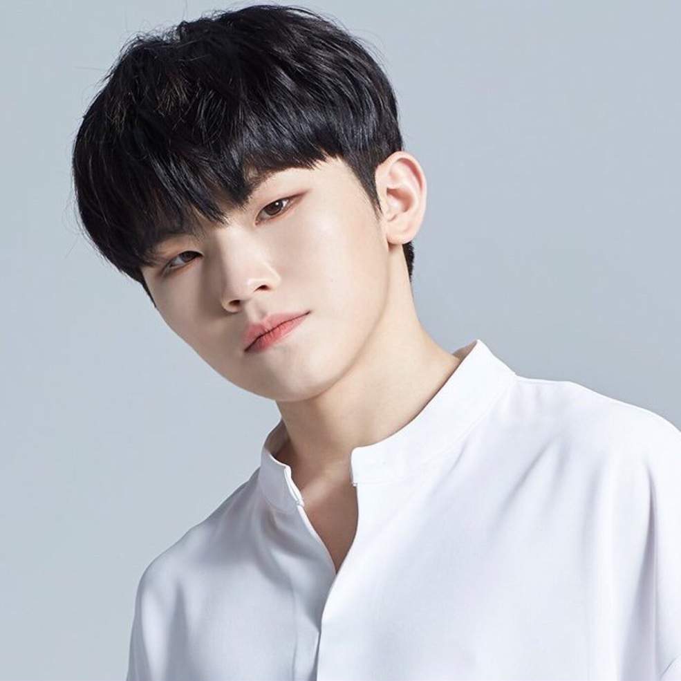 Woozi | Wiki | K-Pop Amino