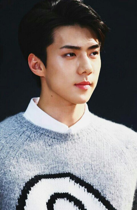 An Unhelpful Guide To Oh Sehun Exo ì—'ì†Œ Amino