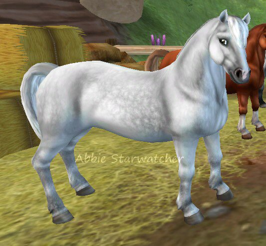 Welsh Pony | Wiki | Star Stable Online Amino