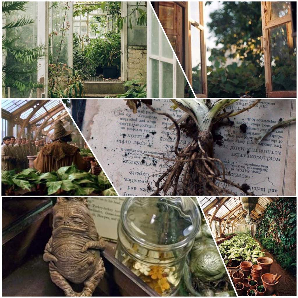 Teacher Aesthetics Harry Potter Amino