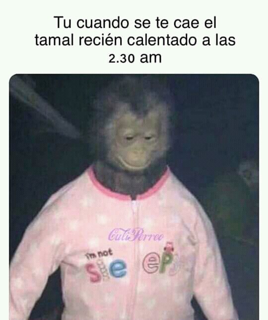 Memes😊😊😊😊 | Memes Amino • Español Amino