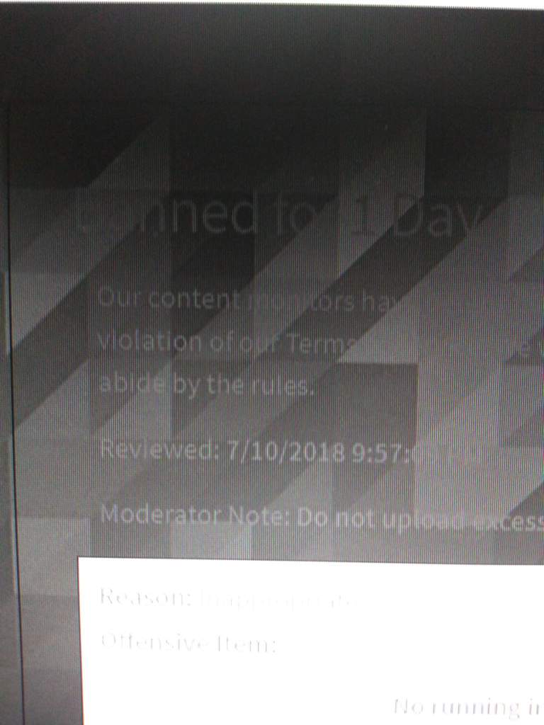 Roblox Banned User Viewer
