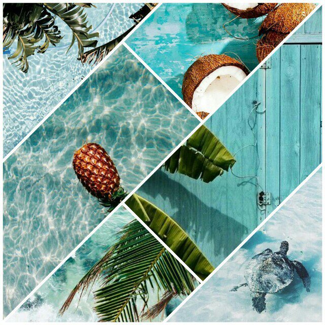 Tropical moodboard | símply aesthetíc Amino