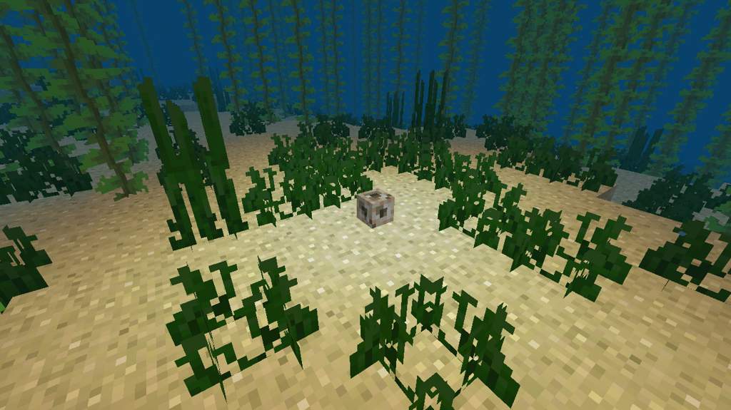 What’s New In 1.5: Conduits And Sea Turtles | Minecraft Amino