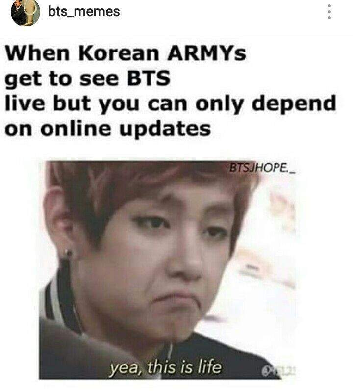 To All The Bts Haters Army S Amino