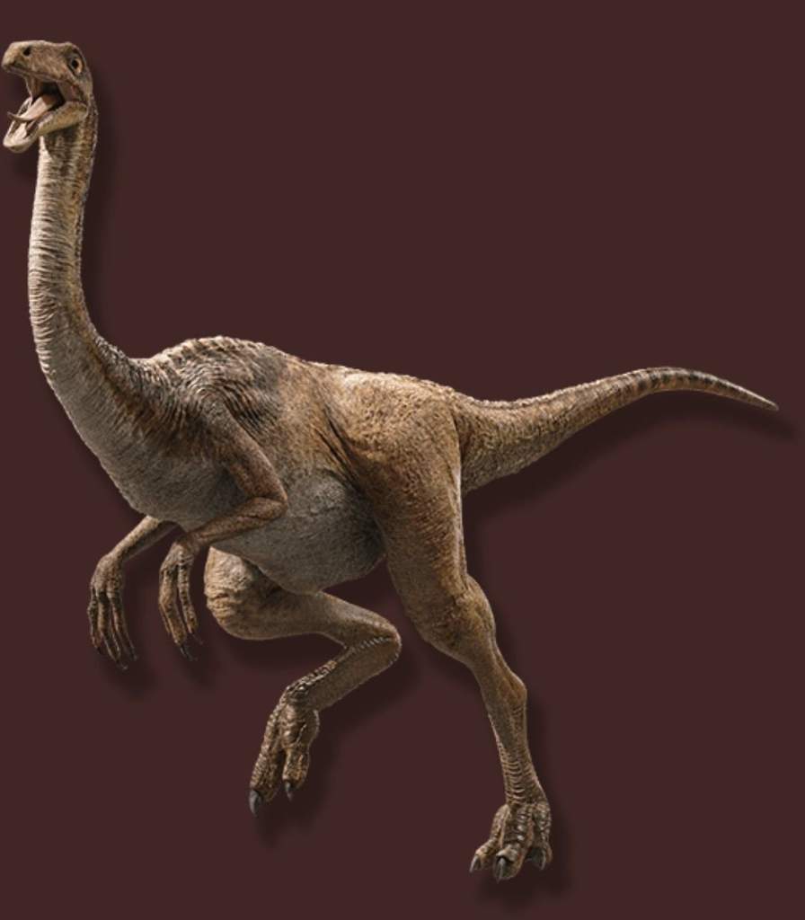 Gallimimus Wiki ⚪jurassic Park Amino⚪ Amino 