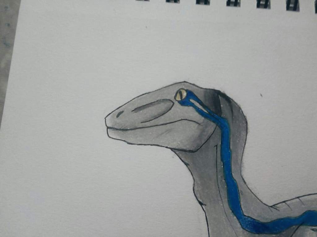 Blue Jurassic World Fan Art Arte Amino Amino