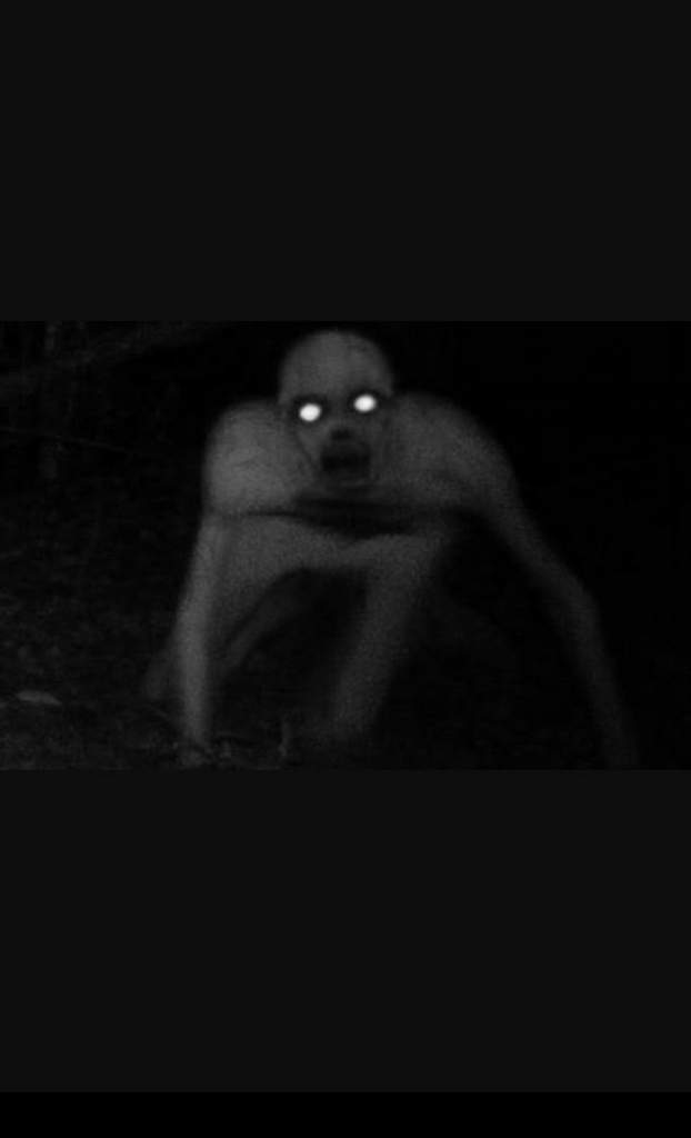 Rake Wiki Mythology & Folklore Amino