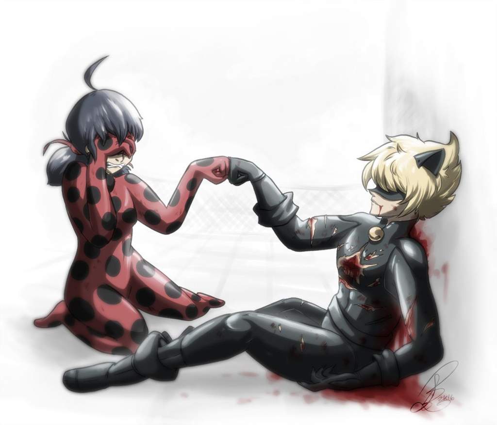 Ladybug and cat noir memes