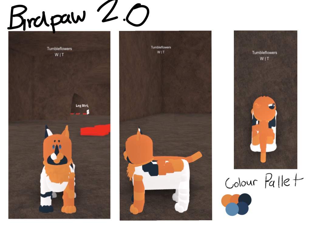 Birdpaw Re Design Ref Sheet Yes I Used Roblox Xd Warriors Amino - warriors vest roblox