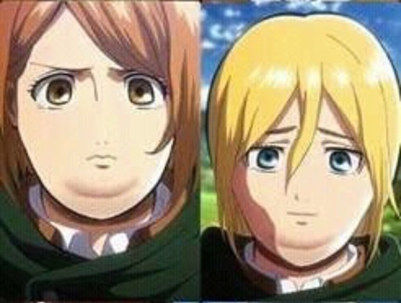 If the aot character were fat | Attack On Titan Amino