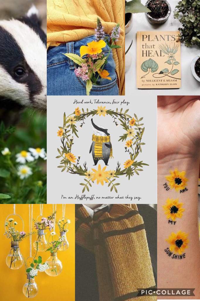 Hufflepuff aesthetics/moodboard | Hufflepuff Amino