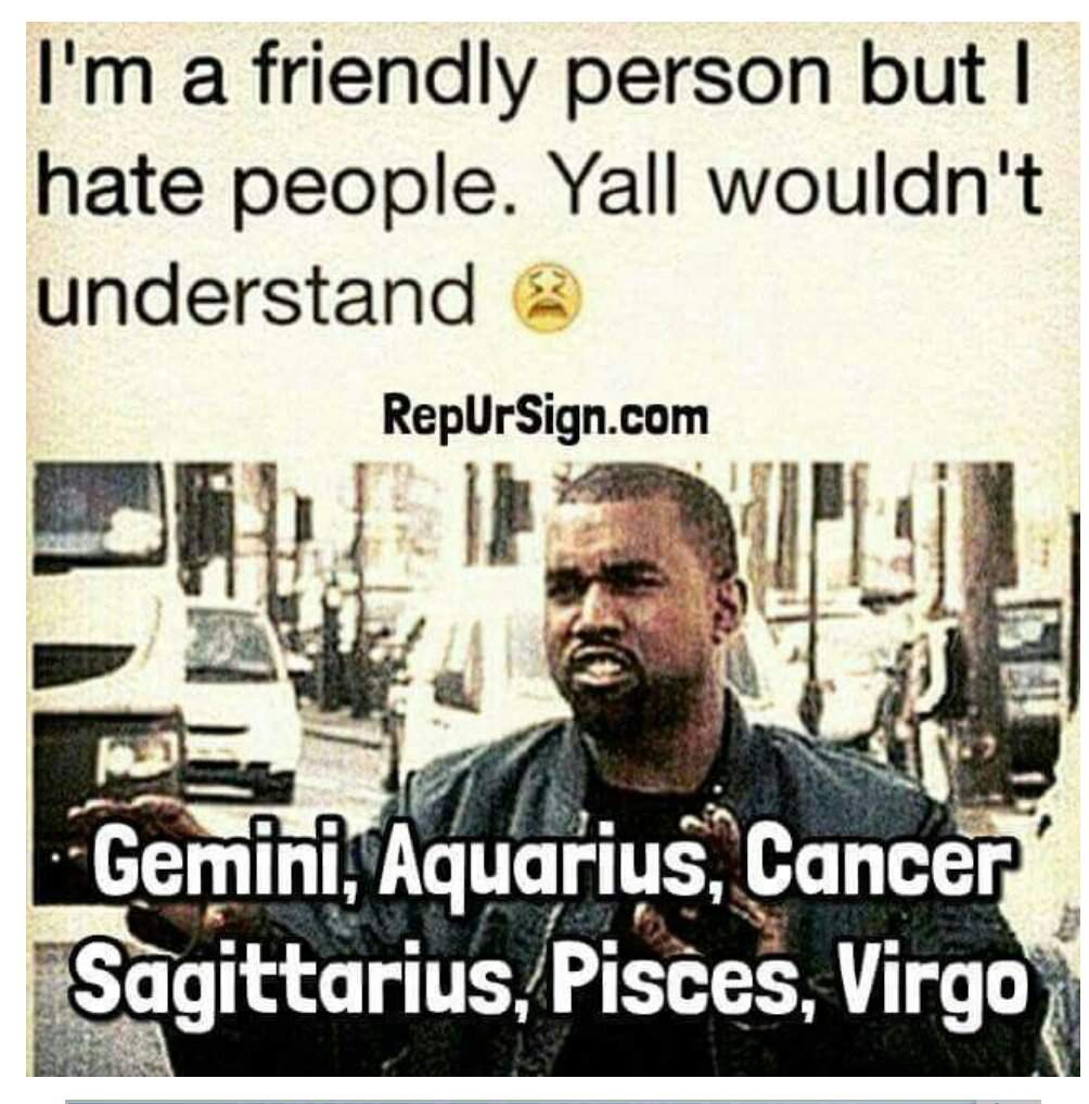 zodiac signs gemini memes
