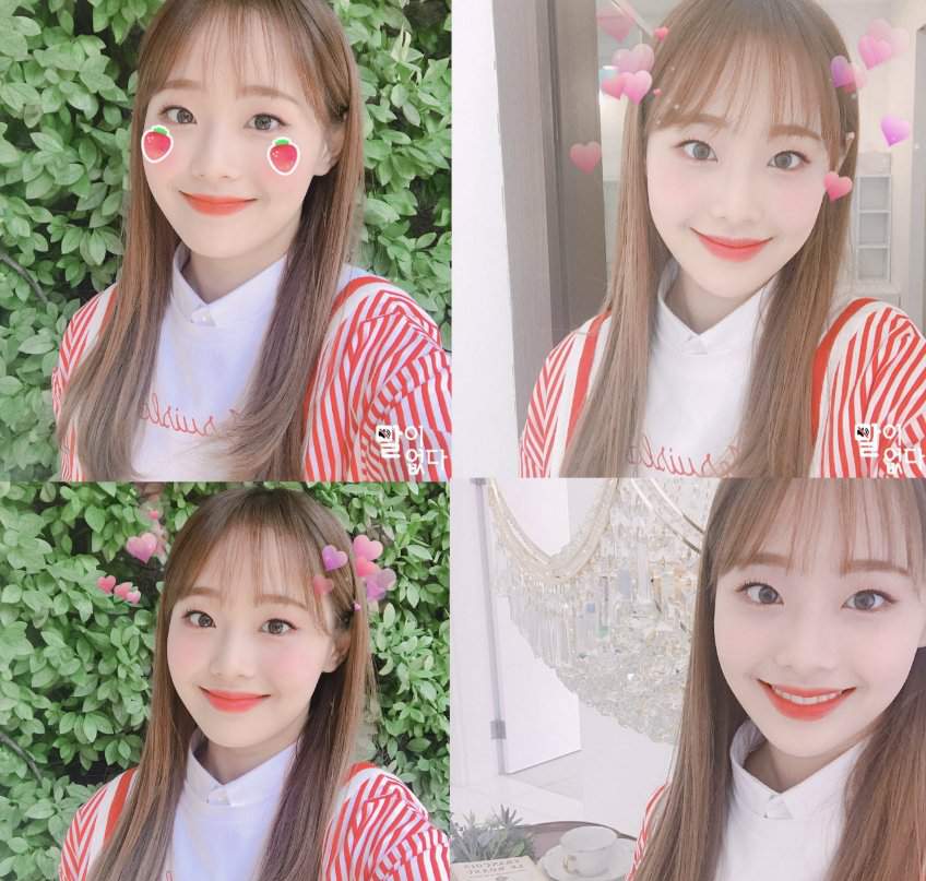 Chuu | Wiki | K-Pop Amino