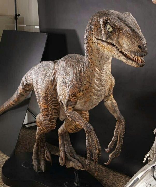 velociraptor with wings 3d