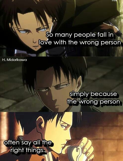 Levi Ackerman Quotes 