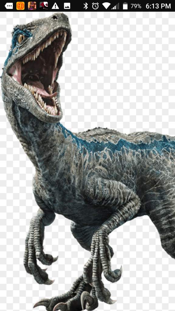 velociraptor colour