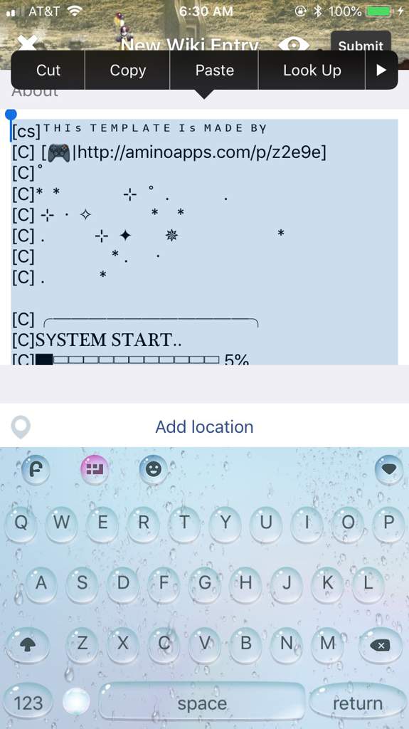 Cute Amino Bio Template