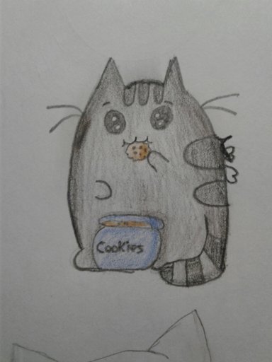 Latest Pusheen The Cat Amino Amino