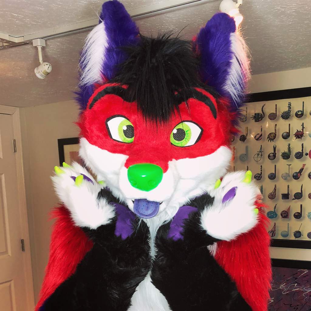 New Fursuit! | Furry Amino