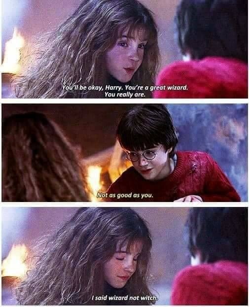 I really love that meme 😂😂 | Harry Potter Amino