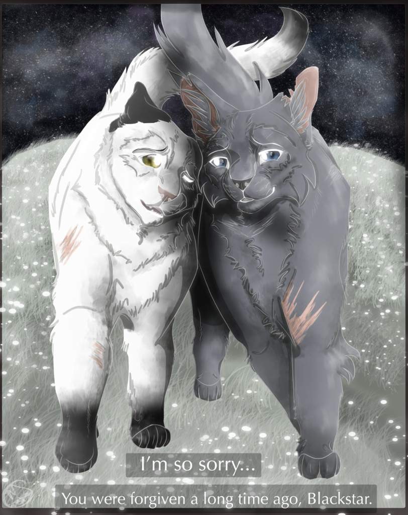 Blackstar and Stonefur | Warriors Amino