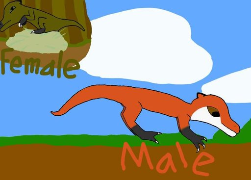 allosaurus and ceratosaurus