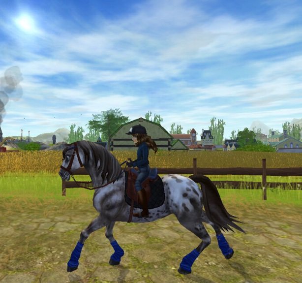 DreamChaser | Wiki | Star Stable Online Amino