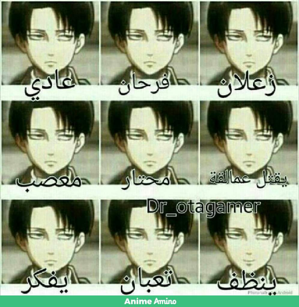 تعابير وجه ليفاي امبراطورية الأنمي Amino