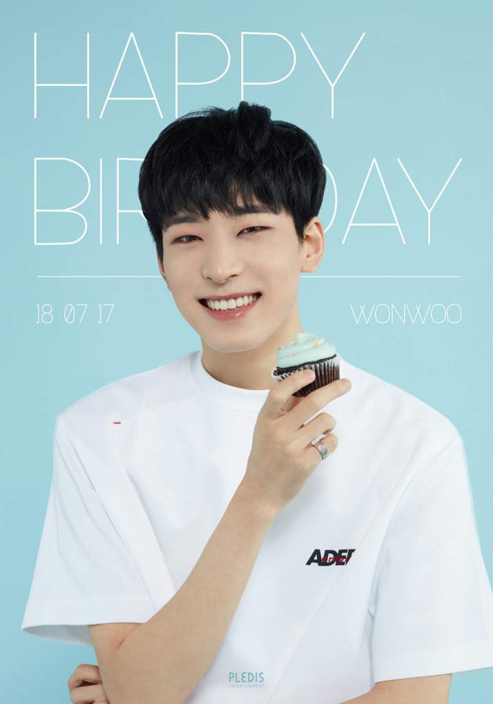 Happy WONWOO Day 🎂 원우생일 행복해서 어쩌나 🎂 Oh My WONWOO Day | Seventeen Amino Amino