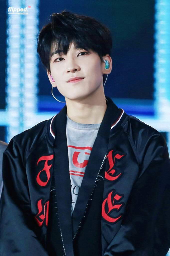 Happy WONWOO Day 🎂 원우생일 행복해서 어쩌나 🎂 Oh My WONWOO Day | Seventeen Amino Amino