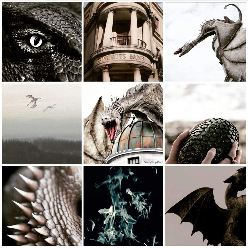 Dragon Aesthetic Harry Potter Amino