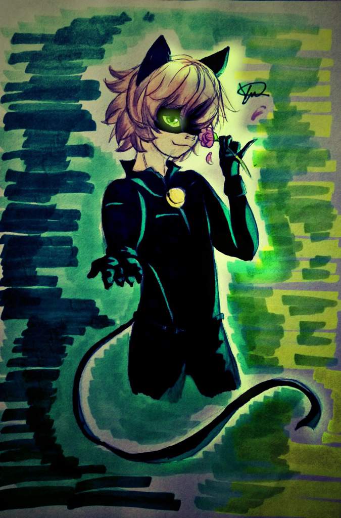 Chat Noir Fanart Miraculous Amino