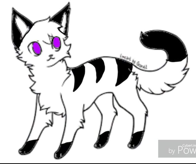 Фиалка коты воители