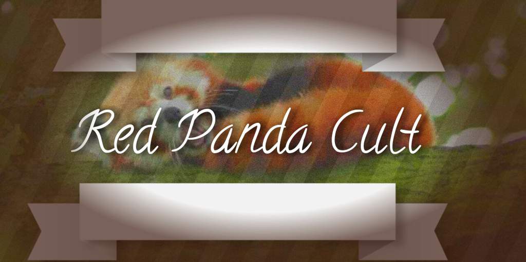 Red Panda Revolution | Dinosaur Planet Amino