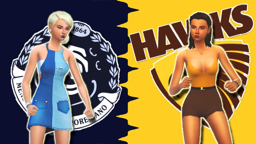 afl-inspired-sims-sims-amino