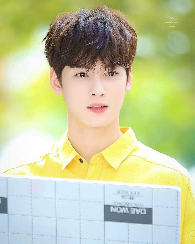 Cha Eun Woo Dramas | Wiki | K-Drama Amino